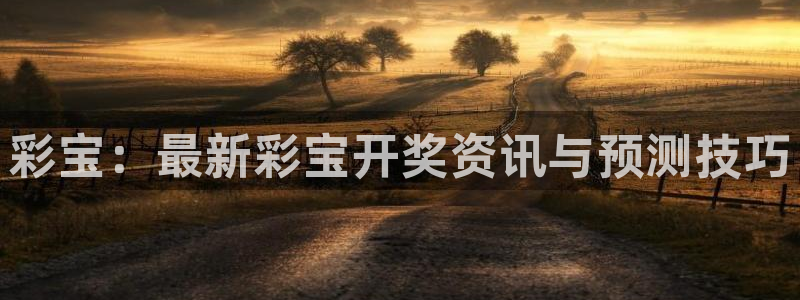 彩宝：最新彩宝开奖资讯与预测技巧