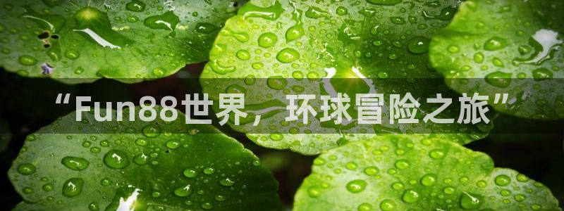 聚富welcome体育论坛