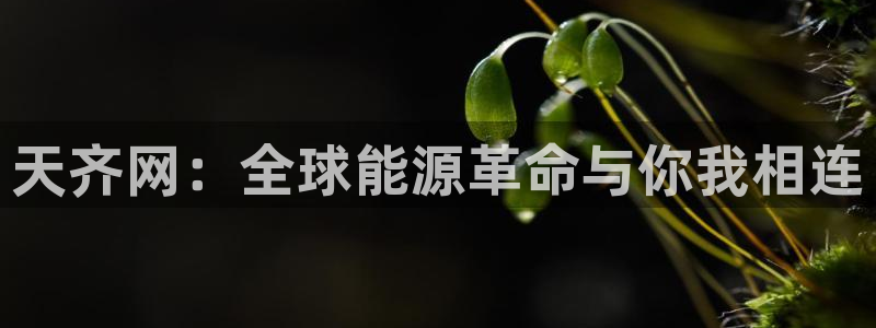 聚富welcome招商