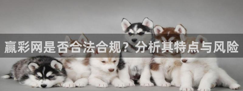 聚富welcome2平台：赢彩网是否合法合规？分析其特点与风险