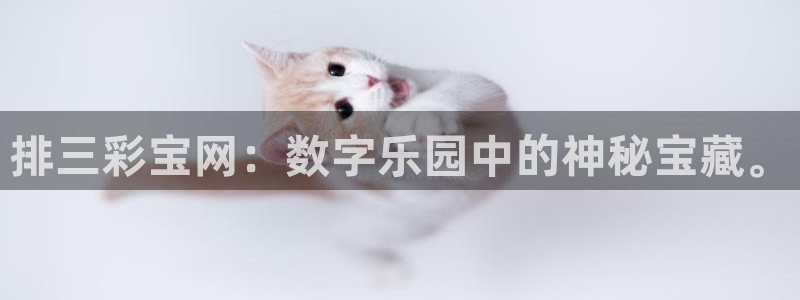聚富welcome体育：排三彩宝网：数字乐园中的神秘宝藏。